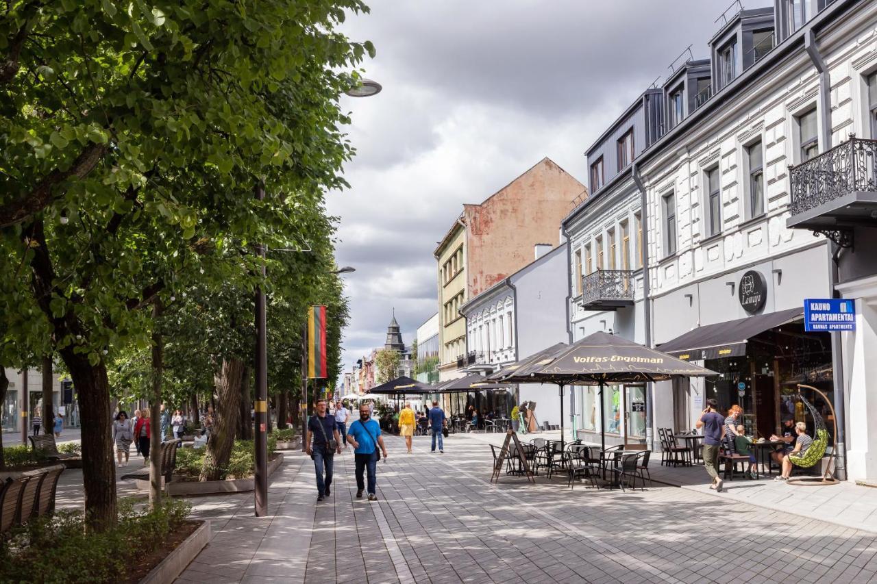 Art & Comfort Home Kaunas Luaran gambar